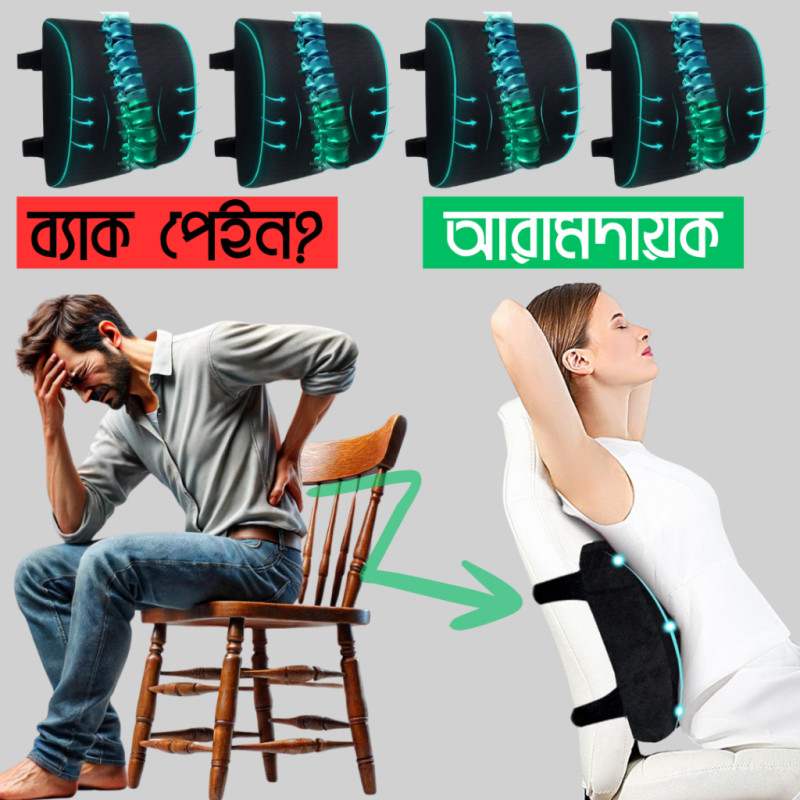 Lumber Back Pillow + Delivery Free